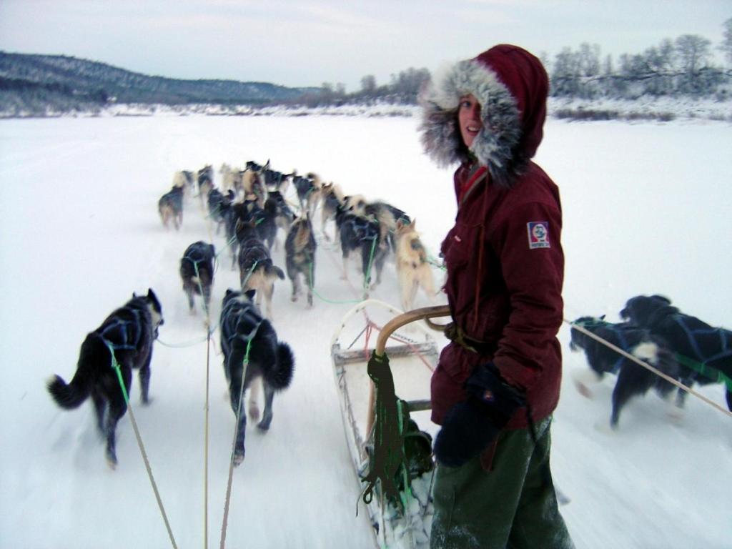 Engholm Husky Design Lodge Karasjok Luaran gambar