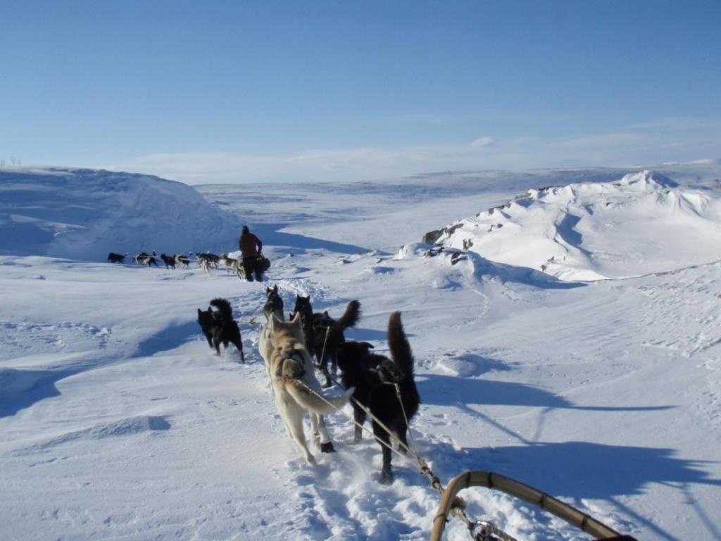 Engholm Husky Design Lodge Karasjok Luaran gambar