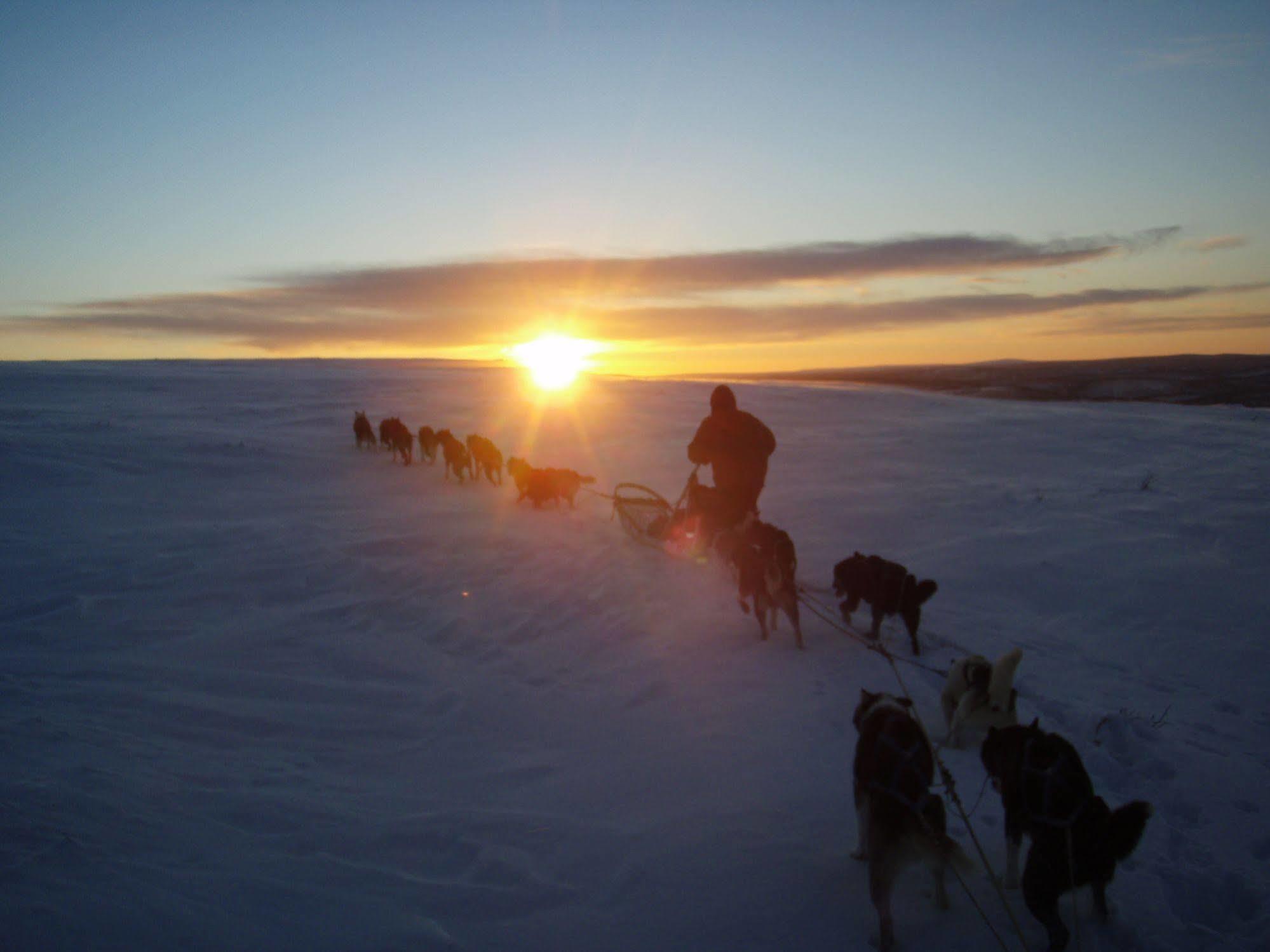 Engholm Husky Design Lodge Karasjok Luaran gambar
